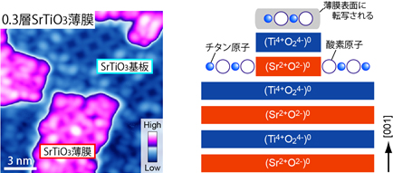 左：0.3層のSrTiO3薄膜堆積後の走査トンネル顕微鏡像(15 nm × 15 nm)。SrTiO3薄膜領域（紫色）では、下部のSrTiO3基板（青色）と同一の原子配列が観測されている。右：SrTiO3薄膜形成における成長モデル。SrTiO3基板表面に存在したTiO2層が薄膜表面に転写する。 