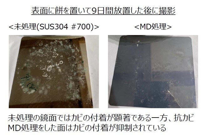 図2　カビ抑制の効果：SUS304鏡面とそこにMD処理をした試験片上に9日間餅を静置させた後の試験片の画像で、鏡面では顕著なカビの付着が確認できる一方、MD処理面はカビの付着が少ないことが分かる