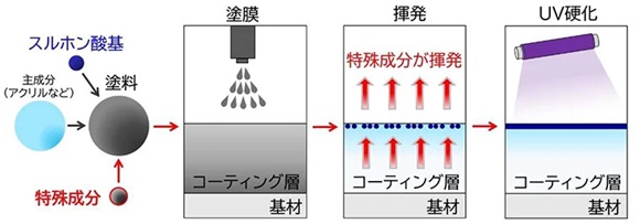 スルホン酸基の偏析プロセス